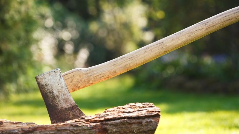 Axe-in-Log