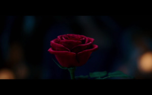 Screen Shot 2016-05-23 at 15.16.38