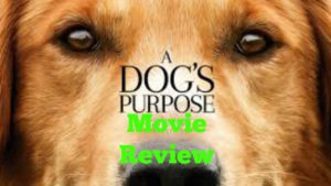 Channel Art Template (Fireworks)