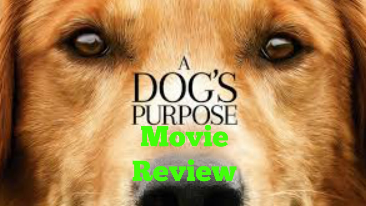 Channel Art Template (Fireworks)