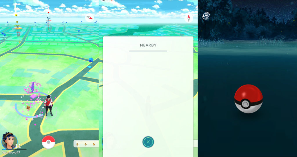 pokego screens 2